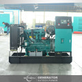 Gerador de energia diesel do yangchai de 28kw China com dossel silencioso ou à prova de intempéries